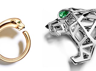 卡地亞與美洲豹